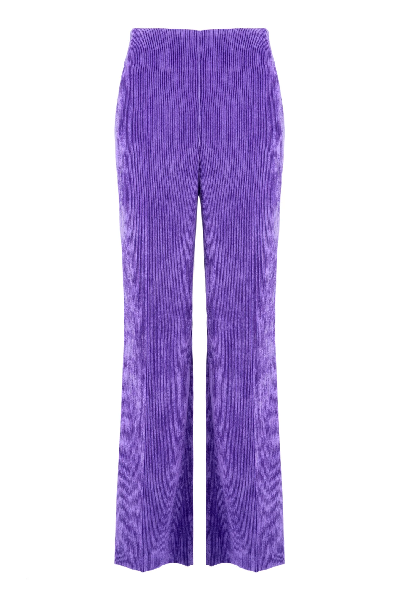 Viola