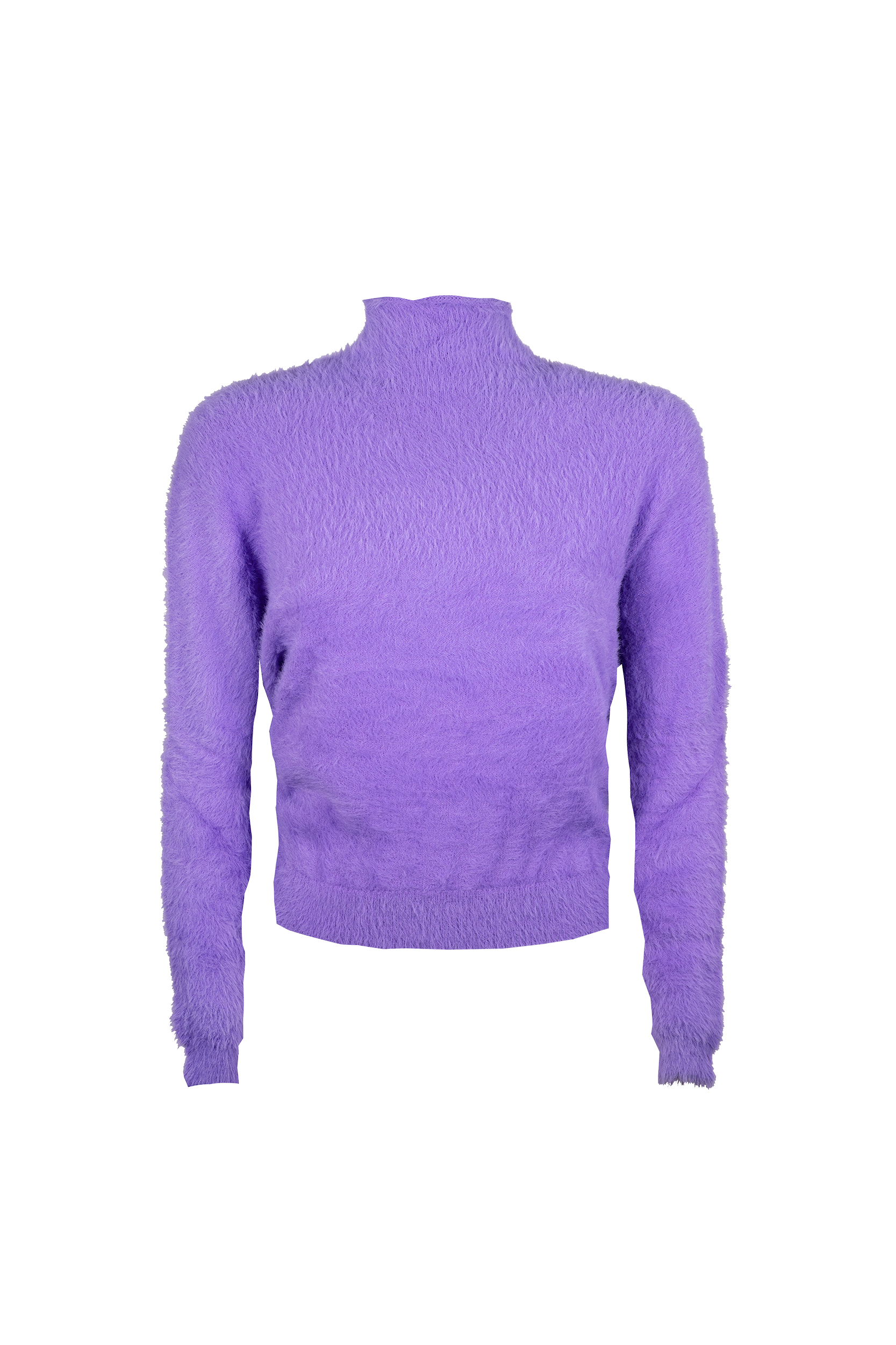 Viola