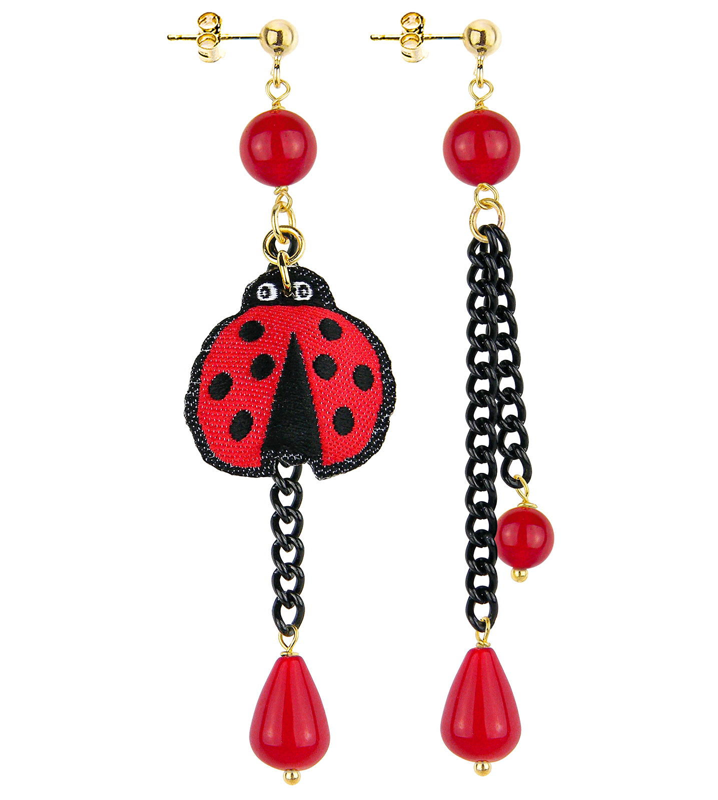 Coccinella