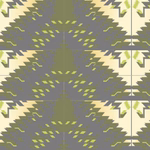 Salvia