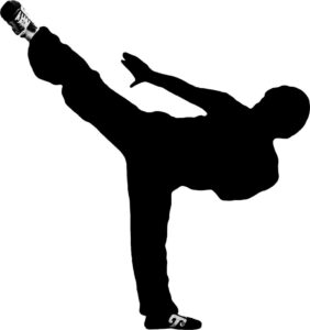 wushu ruyi_snikers