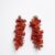 Corallo